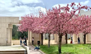 مدرک زبان تومر ترکی استانبولی برای پذیرش در دانشگاه های ترکیه 2 اخذ مدرک زبان تومر برای پذیرش در دانشگاه های ترکیه