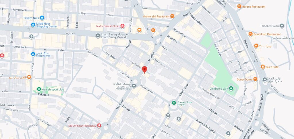 google map
